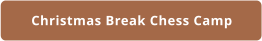 Christmas Break Chess Camp