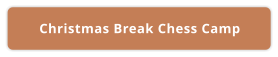 Christmas Break Chess Camp
